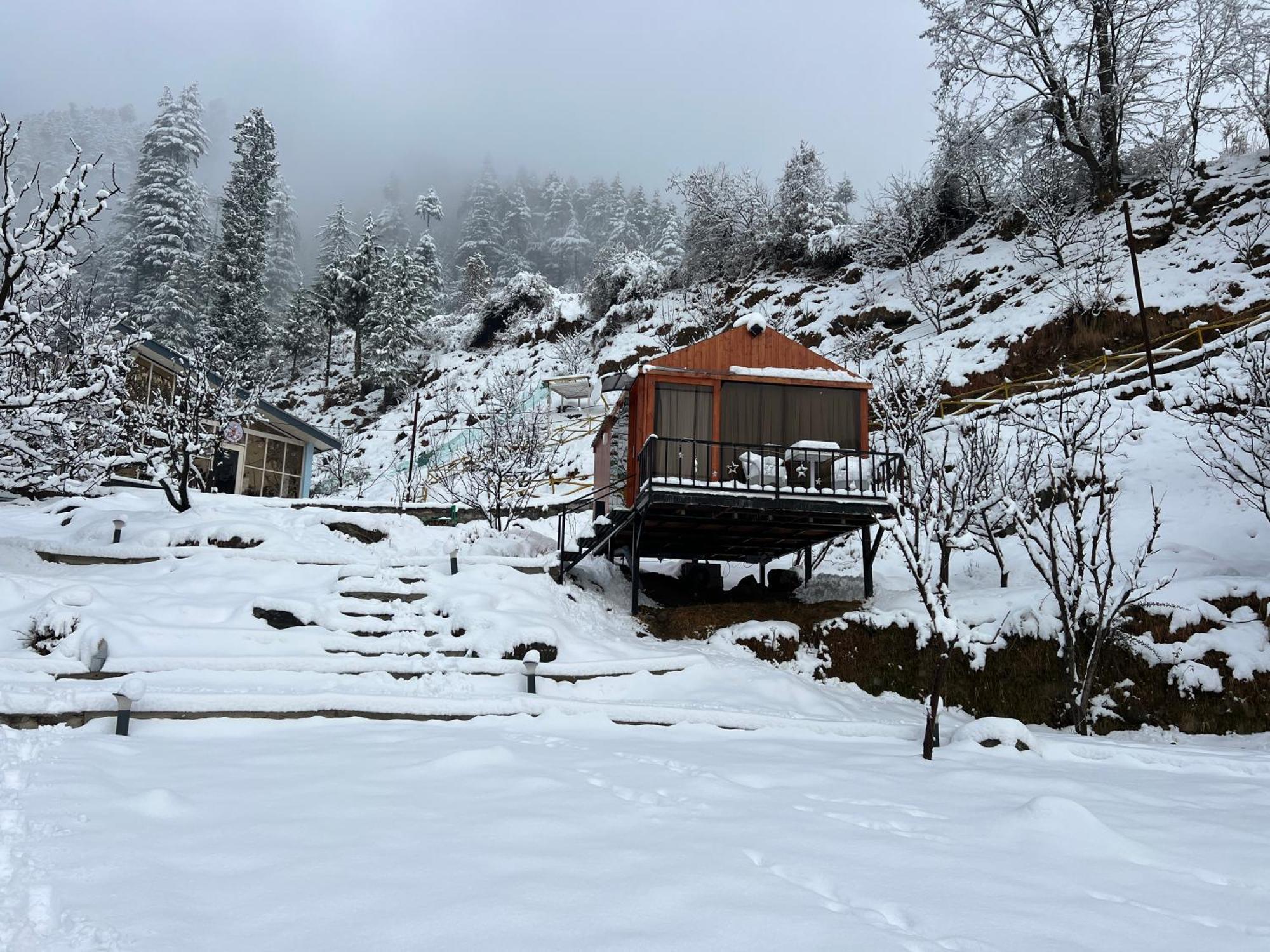 Glass Cabins By Urban Monk- Unique Centrally Heated Cabins With Electric Blankets - Manali (Himachal Pradesh) — Photos 2
